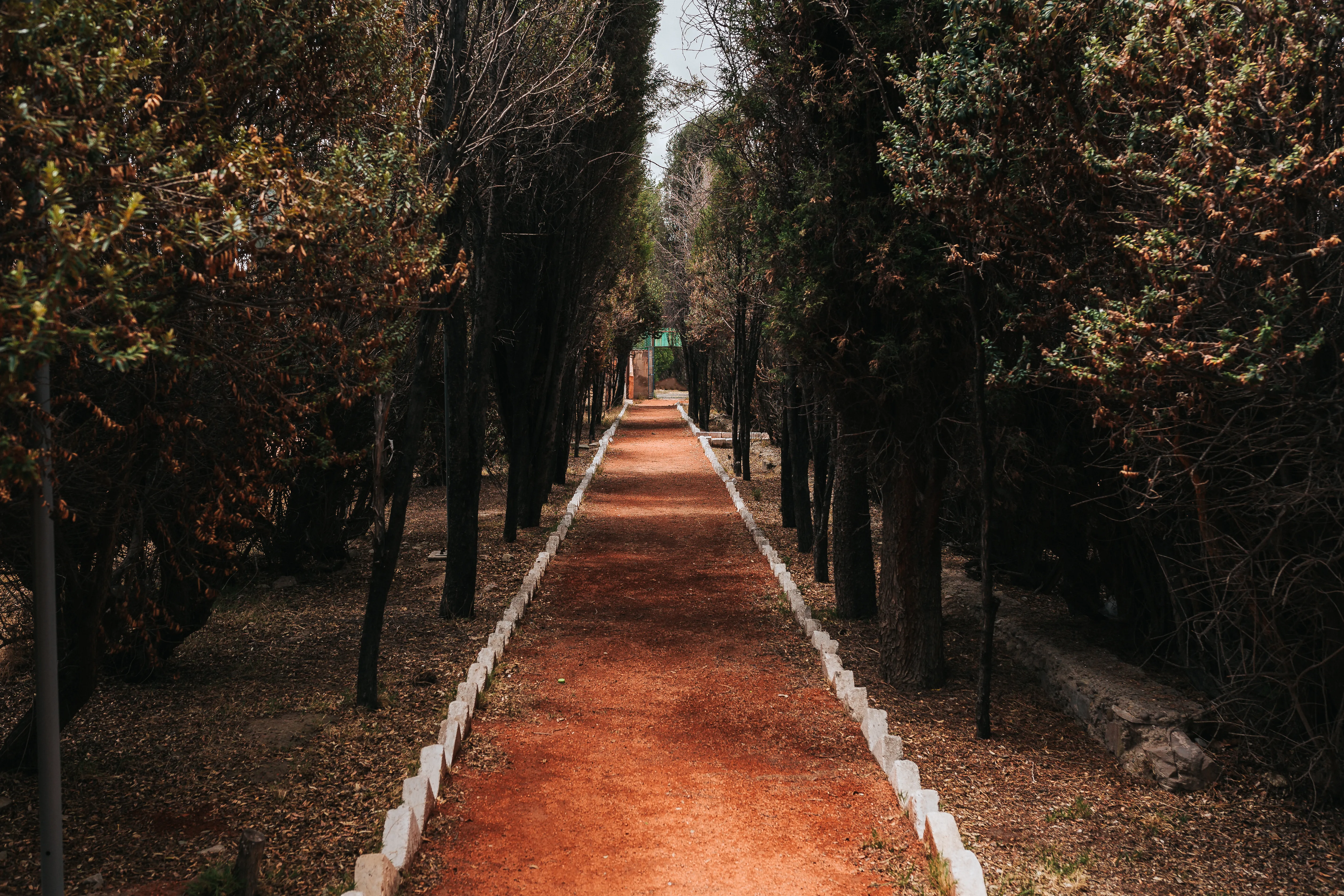 Gestión Ambiental EMV